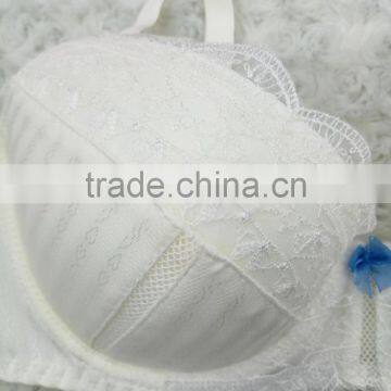 New Design Sexy Ladies Transparent White Embroidered Bra and Panty Set photo-5