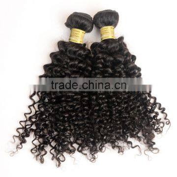 Free Samples Virgin Indian Hair,Raw Unprocessed Indian Human Hair Different Types of Curly Weave Hair photo-5
