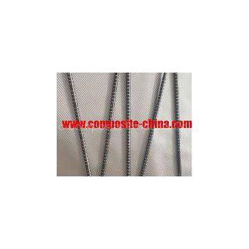 Carbon Fiber Avalanche Probe