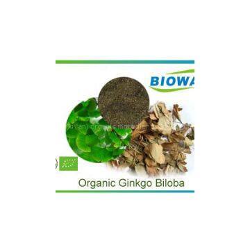 Organic Ginkgo Biloba