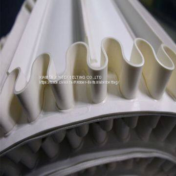 Customized Global Sidewall Conveyor Belt Line Glue With Cleats PB-W30 photo-3