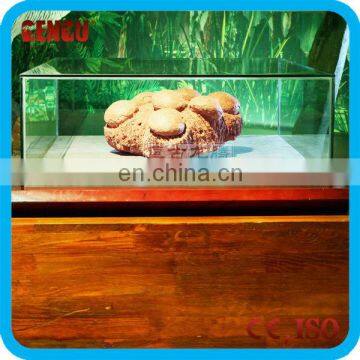 Museum artificial dinosaur egg decorations replica