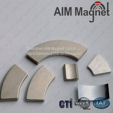 Segment magnet neodymium customized magnet for motor