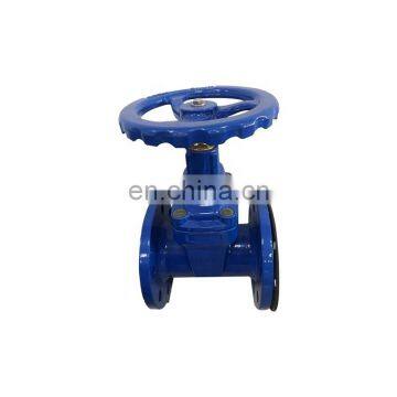 Ductile iron gate valve