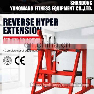 High Quality Professional Bodybuilding Equipment YW-1628 Reverse Hyper Extension
