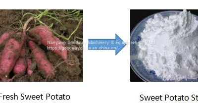 Sweet Potato Starch Machine