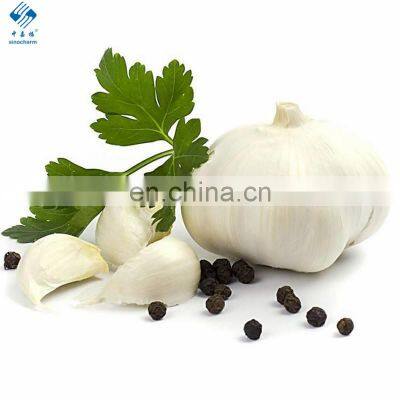 High Quality Fresh Pure White Garlic