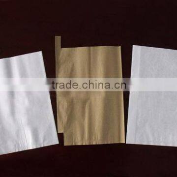 Apple Pear Mango Guava Grape Fruit Protection Waterproof Custom Made Paper Bags photo-5