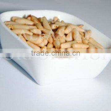 Pine Nut Kernels Premium Quality from Pakistan