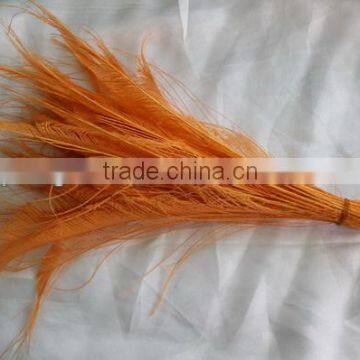 Wholesale peacock feather in orange