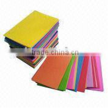 Newly Slippers Display Colorful Flip Flop Use in Healty and Beauty Club photo-2