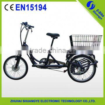 Europe market adult electric tricycle for disabled