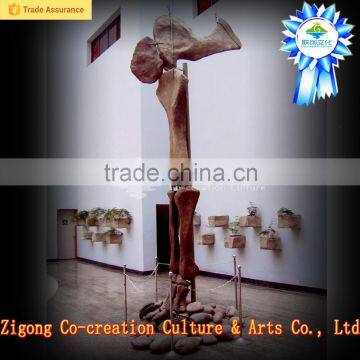 Dino Park Outdoor Museum Adventure photo-2