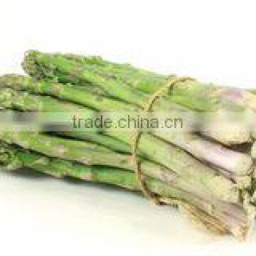 NWH005 Rubber Latex Elastic Thread with High Quality For Vegetables Binder