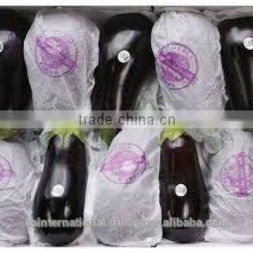 Original Fresh Eggplant Made in Viet Nam- Best Price photo-2