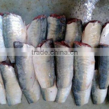 FROZEN MACKEREL HGT