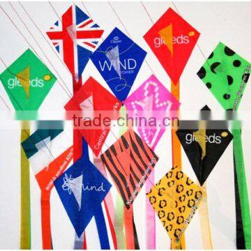 Mini Kite for Promotion