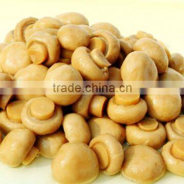 Canned Food Canned Champignon Canned Mushroom/champignon photo-4