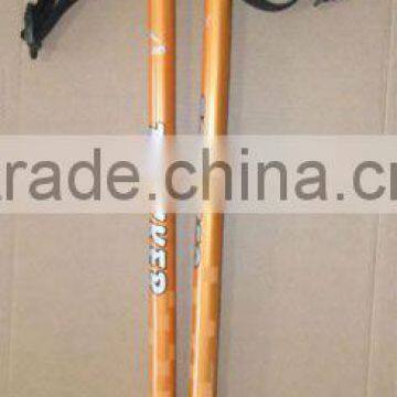 3-section Walking Pole SL-6-3