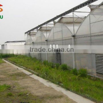 Gothic high tunnel galvanized greenhouse