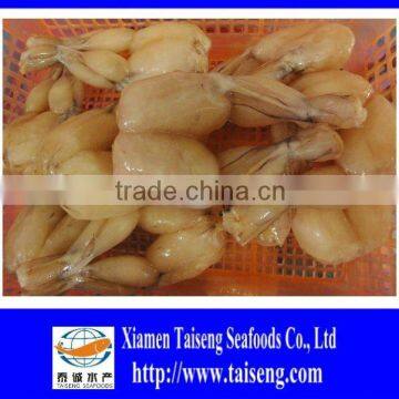 2015 High Quality Bull Frog Legs for Sale