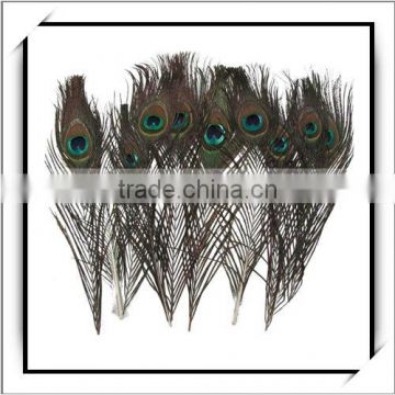 Cheap! 10pcs Decoration Natural Peacock Feather-J03327