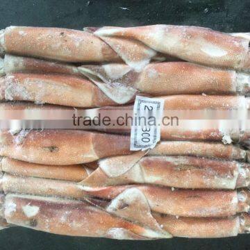 New Season Fresh Illex Squid Argentinus Price