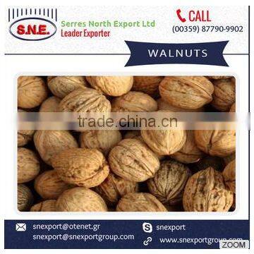 High Quality Walnuts with Shell and Without Shell at Cheap Rate
