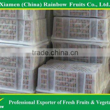 Chinese Fresh Delicious Red Table Globe Grape Wine Grapes photo-5