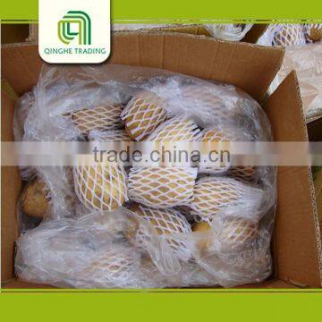 Farm Organic Fresh Potato