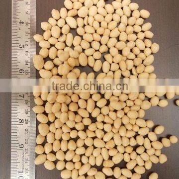 ROUND BLANCHED PEANUT KERNEL