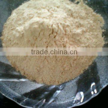 NEW CROP DRY GARLIC POWDER