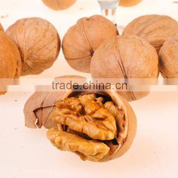 Walnut Hot Sale photo-4