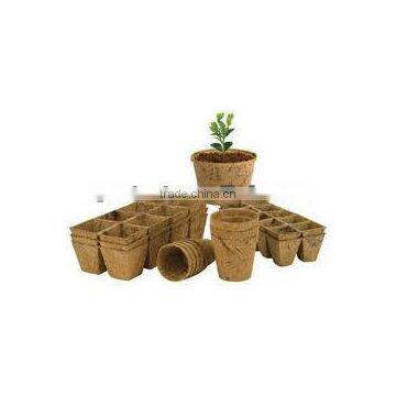 Coconut pots for small plants