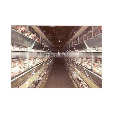 Battery Chicken Cage