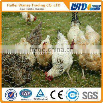 Hexagonal chicken wire poultry wire chicken wire mesh by TUV Rheinland (factory)