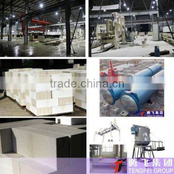 Autoclaved aerated concrete block price/ AAC plant/ aac block for sale