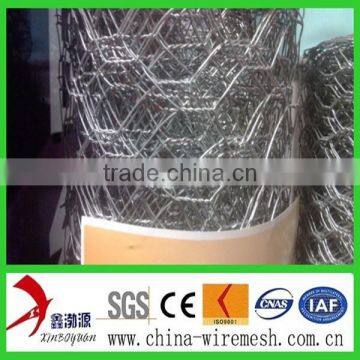 Lowest Price Chicken Wire Mesh photo-3