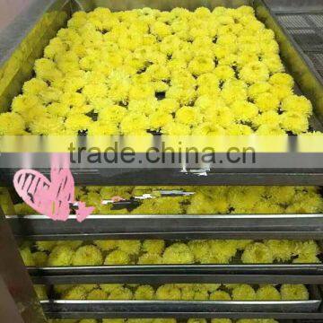 Flower Dryers / Flower Drying Machine photo-2