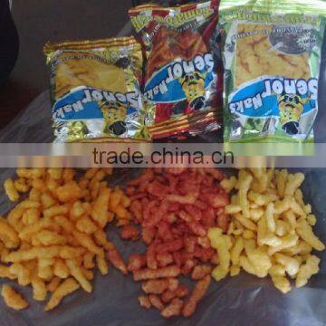 The Screw/Shell/Bugles Chips Processing Line photo-6
