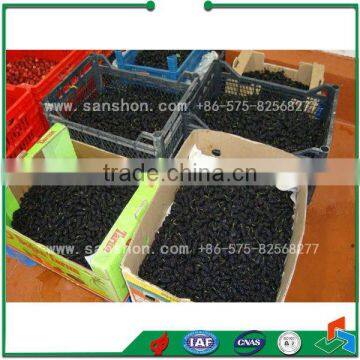 LSZ-1.0 Fruit and Vegetable Fluidized Quick-freezing Machine photo-5