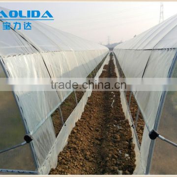 Poly Tunnel Vegatable Greenhouse covered by polythene film