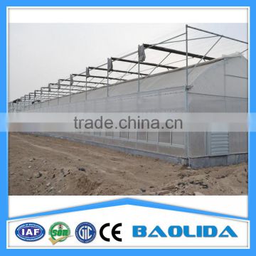 BLD Multi Span Sun Shading Greenhouse