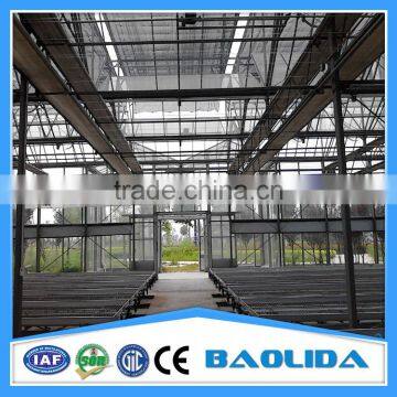 Tunnel Greenhouse for Flowers photo-3