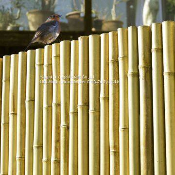 Bamboo Fence With String photo-5