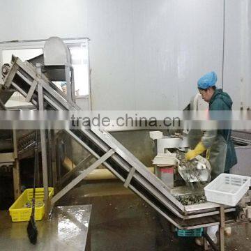 Fresh Frozen Variegated Clam Shell-On photo-3