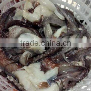 1kg up Giant Squid Tentacle photo-3