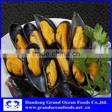 Frozen cooked half shell mussel