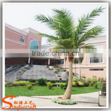2017 Wholesale Ourdoor Artificial Fack Fiberglass Coconut Tree Decoration photo-5