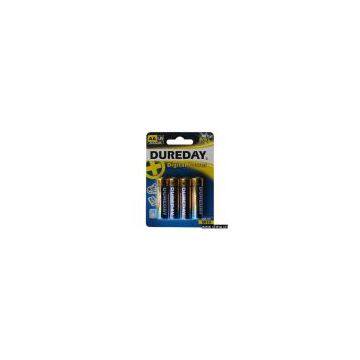 Alkaline Batteries